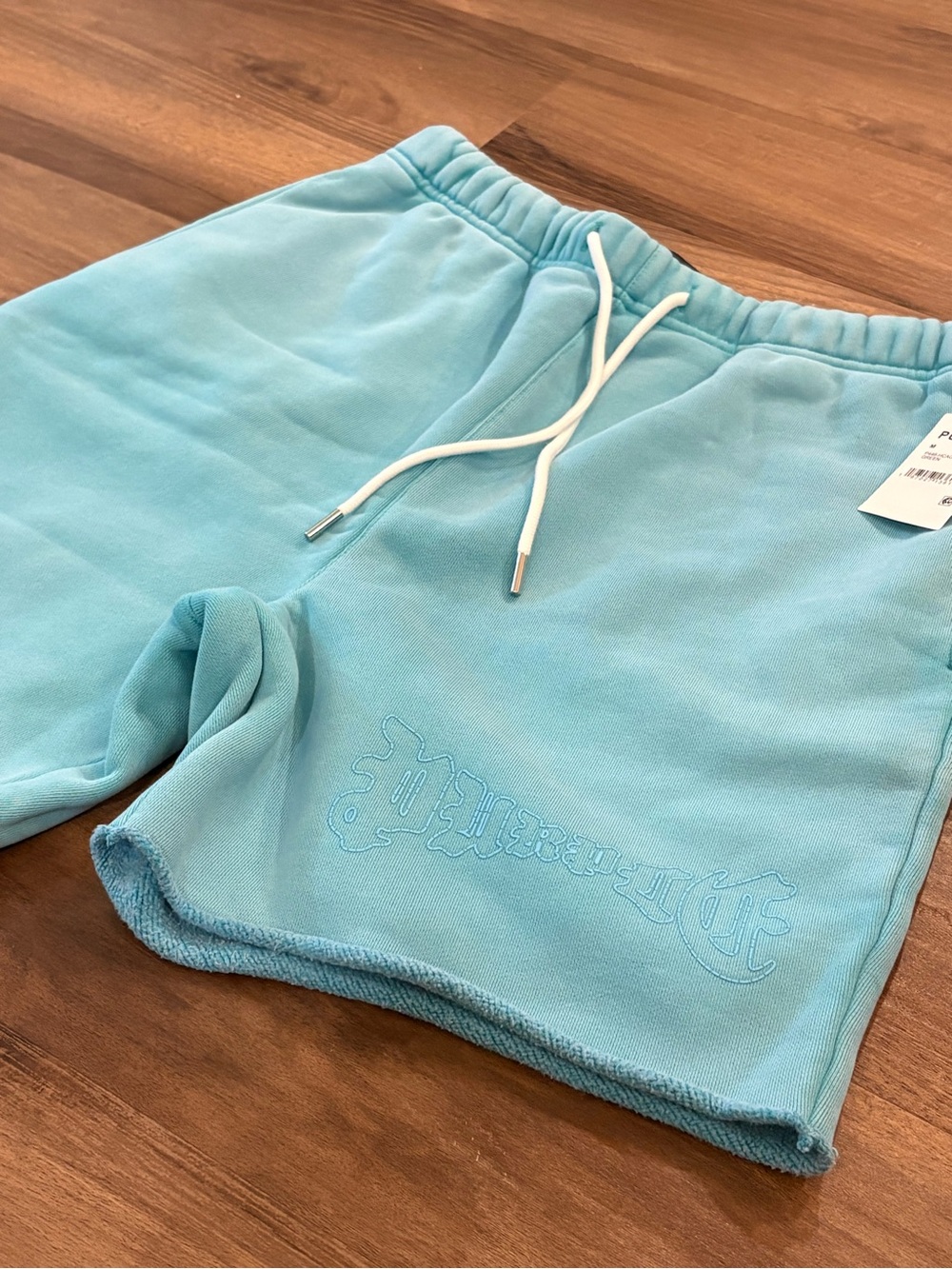 Purple Brand Men's Teal Fleece Shorts with Drawstring